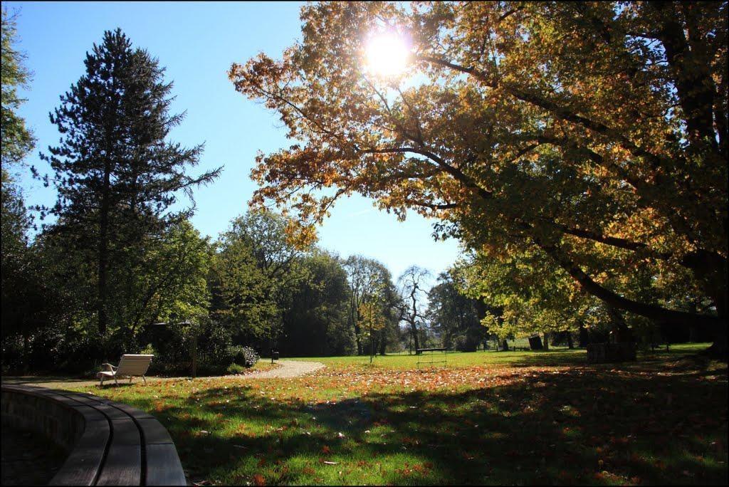 Blick in den Herbstpark der BBS im Marienheim