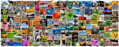 Mehr als nur bunt - Simon bei PIXABAY